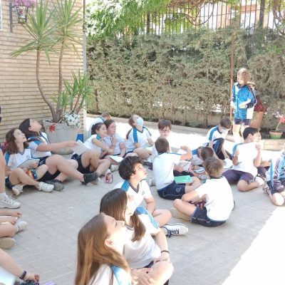Aves - Colegio La Milagrosa (4)