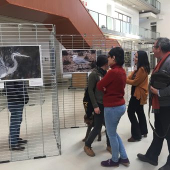 Presentación exposición Fauna de la provincia de Almería-15