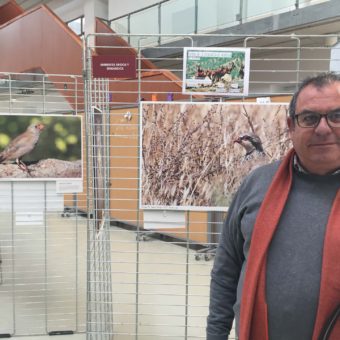Presentación exposición Fauna de la provincia de Almería