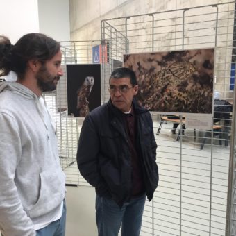 Presentación exposición Fauna de la provincia de Almería-36