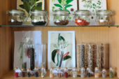 Sala experimental de botánica 4