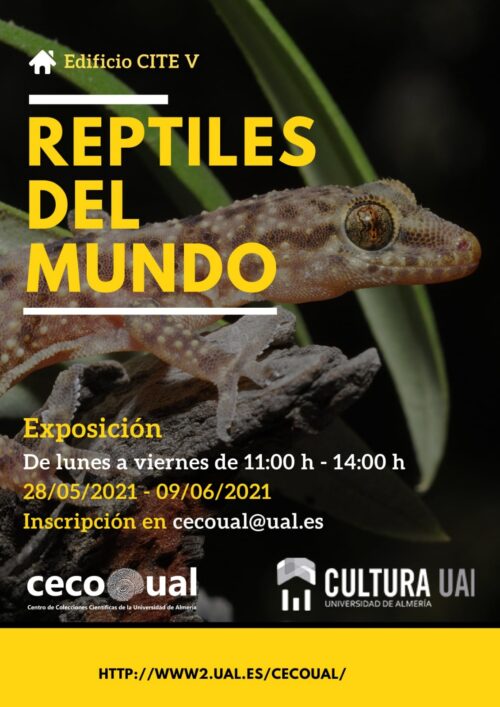 Exposición Reptiles del Mundo