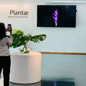 Presentación exposición PLANTAE-19