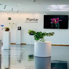 Presentación exposición PLANTAE-27